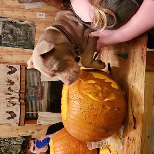 Meet your Posher, Dawn